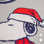 Character Youth Holiday Sweater (Grinch / Snoopy), Sizes XXS to L