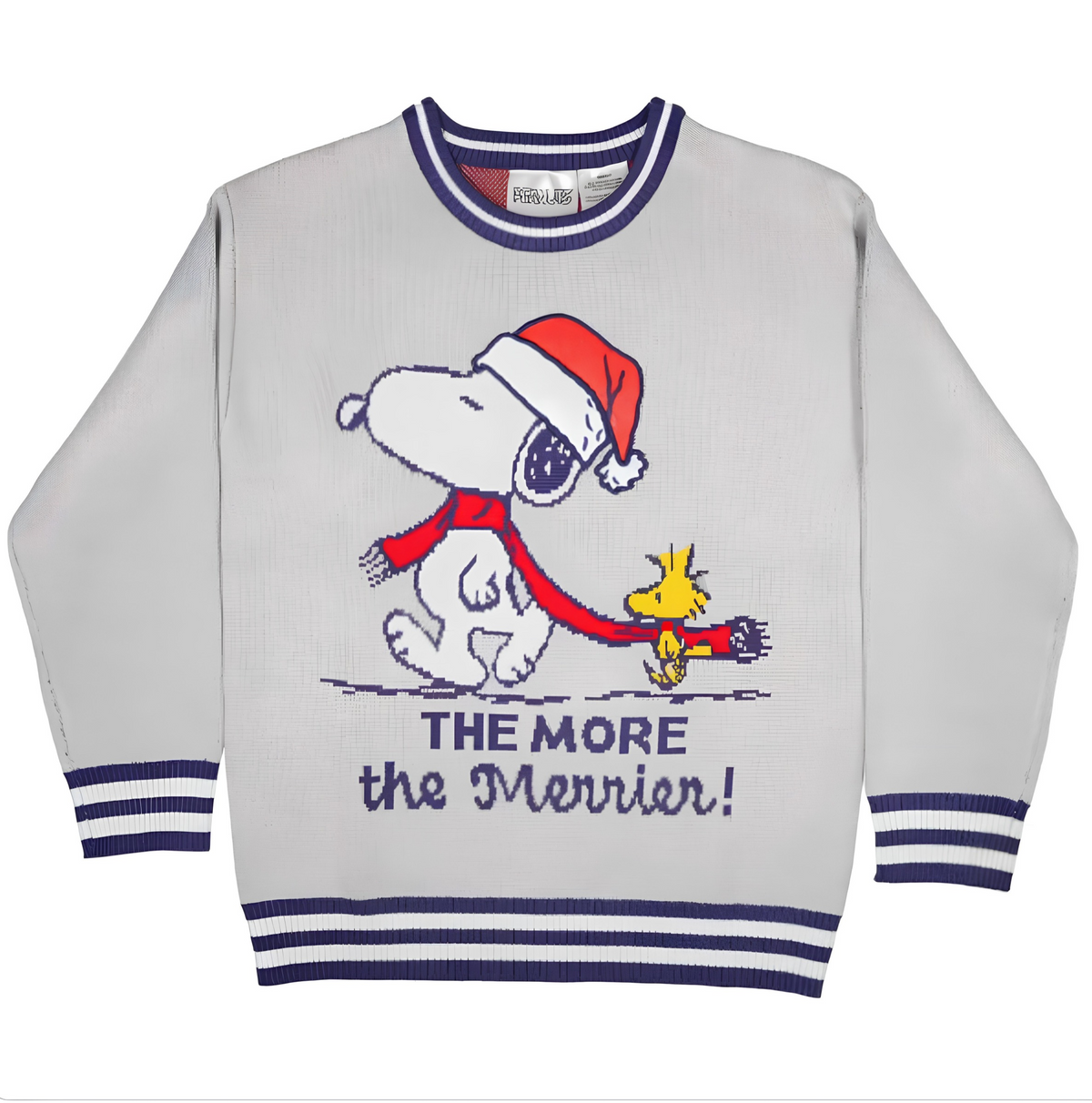 Character Youth Holiday Sweater (Grinch / Snoopy), Sizes XXS to L