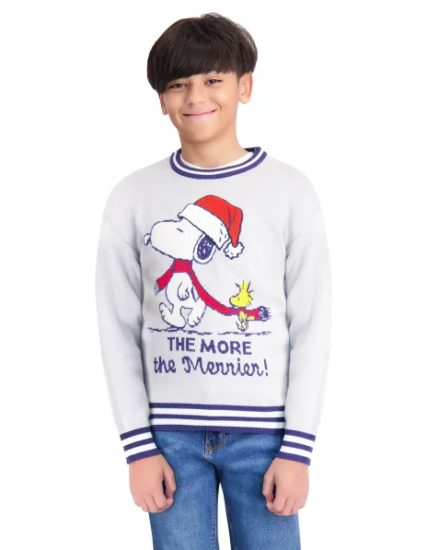 Character Youth Holiday Sweater (Grinch / Snoopy), Sizes XXS to L
